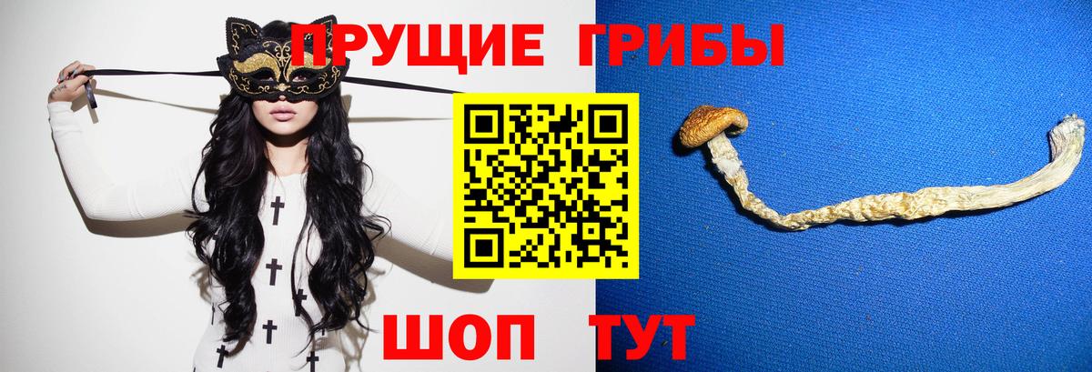 Галлюциногенные грибы Psilocybine cubensis  что такое   Ялта  Вход с VPN 